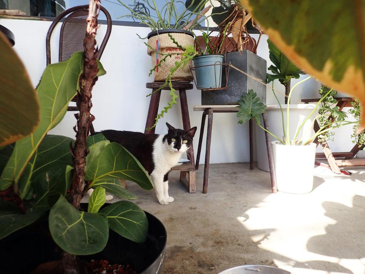 群青所 Gatherers Hostel Đảo Tiểu Lưu Cầu Ngoại thất bức ảnh
